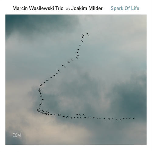 MARCIN WASILEWSKI TRIO WITH JOAKIM MILDER - SPARK OF LIFEMARCIN WASILEWSKI TRIO WITH JOAKIM MILDER - SPARK OF LIFE.jpg